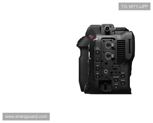 尊龙z6ag旗舰厅：严格隐私保护措施，保障玩家个人信息安全