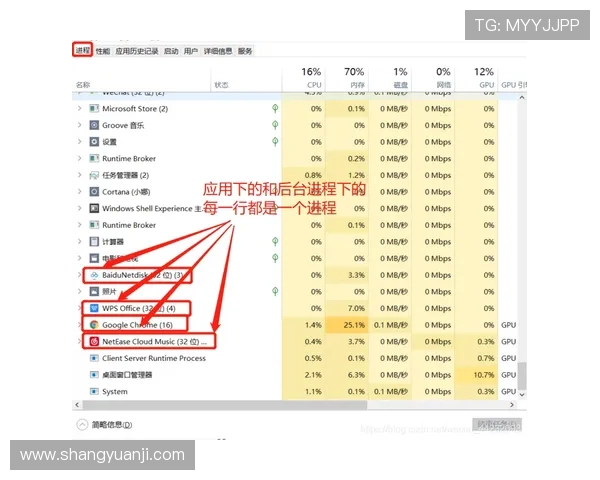 深入了解K8体育登录登录线路的优势，提升您的投注策略