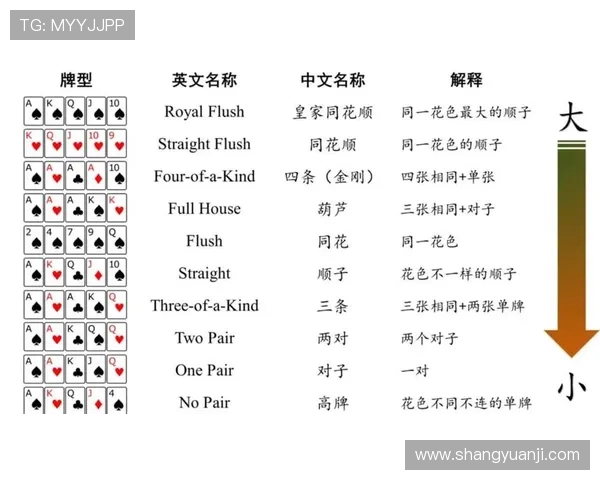 终极德州扑克:从零开始学习到高手的实战技巧与经验总结 终极德州扑克:从零开始学习到高手的实战技巧与经验总结