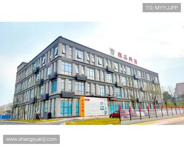 K8凯发一触即发旗舰创新技术引领行业发展,开启智能化新篇章 K8凯发一触即发旗舰创新技术引领行业发展,开启智能化新篇章