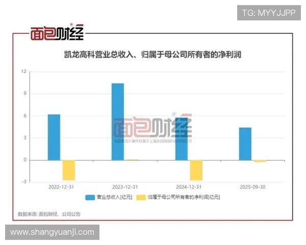 了解凯发集团简介图片,全面展现企业规模与行业地位的最新动态 了解凯发集团简介图片,全面展现企业规模与行业地位的最新动态
