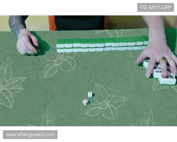 二八杠的春天:探索线上线下结合的多元化运营模式,促进二八杠游戏的广泛普及 二八杠的春天:探索线上线下结合的多元化运营模式,促进二八杠游戏的广泛普及