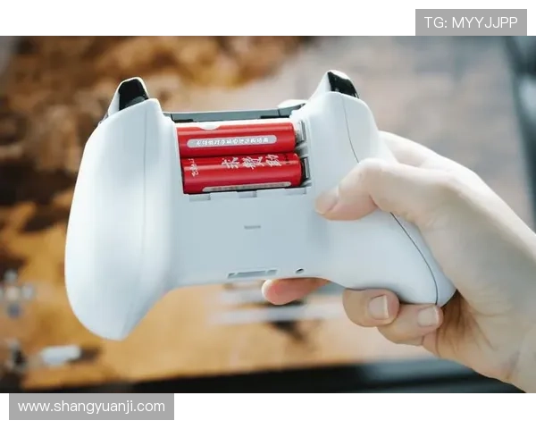 ag凯发k8国际账号注册流程详细指南帮助新手快速上手畅玩多样化游戏内容