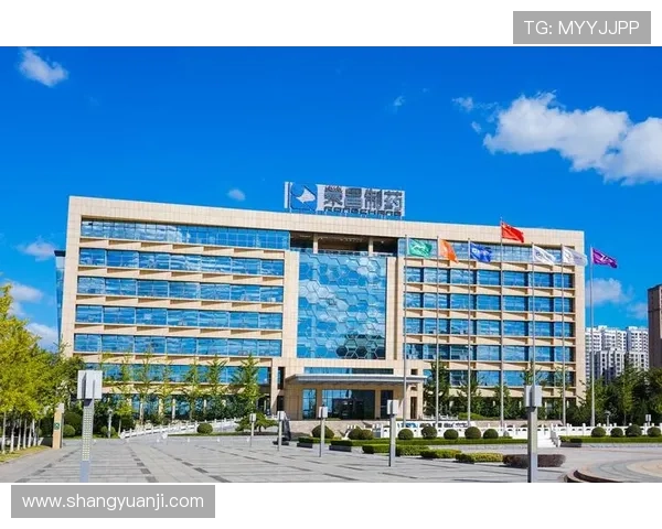 K8凯发滚球的客户服务与技术支持全方位介绍确保用户问题快速解决 K8凯发滚球的客户服务与技术支持全方位介绍确保用户问题快速解决